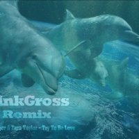LinkGross - Sunlounger & Zara Taylor-Try To Be Love(LinkGross Remix )