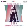 Alex Menco - Ellie Goulding - Burn ( Alex Menco & DJ Yonce Remix)