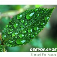 DEEPORANGE - Deeporange - Blessed For Nature (Original Mix)