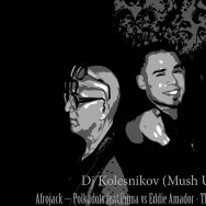 KOLESN1KOV - Afrojack – Polkadots feat.Puma vs Eddie Amador - The Trumpeter House music (Dj Kolesnikov Mush-Up 2k13)