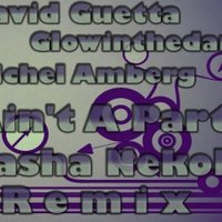 Sasha Nekols - David Guetta & Glowinthedark vs. Michel Amberg Ain't A Party (Sasha Nekols Remix)