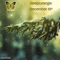 DEEPORANGE - Deeporange - December (Original Mix)