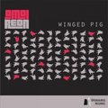 Mute Solo - Amol Reon - Winged Pig (Mute Solo remix)
