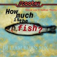 Liam Burn - Scooter & Reece Low & Nathan Thomson - How Much Is The Fish ( Liam Burn MiX)