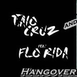 Dj Alles Max - Taio Cruz & Flo-Rida – Hangover(Dj Alles Max Mash Up)