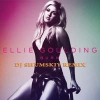 SHUMSKIY - Ellie Goulding - Burn (DJ SHUMSKIY remix)