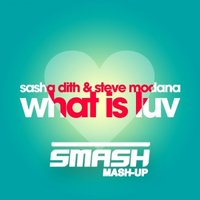 SMASH - Sasha Dith & Steve Modana - What Is Luv (Dj Smash Mash-Up)