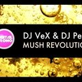 DJ VeX(KaZaN) - DJ VeX & DJ Petriv-Mush Revolution[Digital Promo]