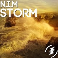 N.I.M. - N.I.M.-Storm(Original Mix)