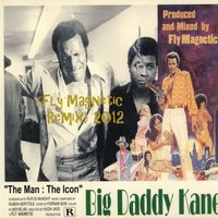 Xylenefree a.k.a.Fly Magnetic a.k.a.Creative Child - Big Daddy Kane - The Man,The Icon (Fly Magnetic Remix)