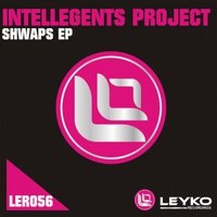 Intellegents Project - Intellegents Project - Dancing faires (original mix)