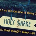 DJ Vlad BlagOFF (UA) - Jay Z vs BlasterJaxx & Miley Cyrus - Holy Snake (DJ Vlad BlagOFF Mash Up)