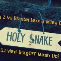 DJ Vlad BlagOFF (UA) - Jay Z vs BlasterJaxx & Miley Cyrus - Holy Snake (DJ Vlad BlagOFF Mash Up)