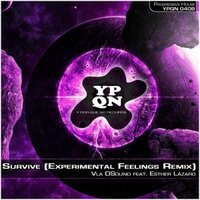 ypqnrecords - YPQN040B Vla DSound feat. Esther Lázaro - Survive (Experimental Feelings Remix)