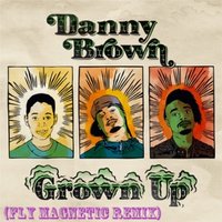 Xylenefree a.k.a.Fly Magnetic a.k.a.Creative Child - Danny Brown - Grown Up (Fly Magnetic Remix)
