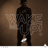 Ocso - Avicii Feat Aloe Blacc Wake me up (NoodNelson ReMiX)