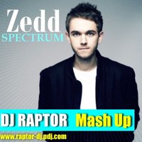 DJ Raptor™ - Zedd - Spectrum (DJ Raptor Mash-up)