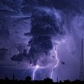 Nashorn - Nashorn - Storm (Original Mix)