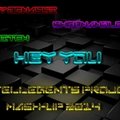 Intellegents Project - Benny Benassi vs Shermanology vs Switch -Hey You ( Intellegents Project mash-up 2014 )