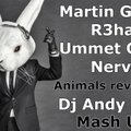 Dj Andy Light - Martin Garrix vs R3hab & Ummet Ozcan & Nervo  - Animals revolution (Dj Andy Light Mash Up)