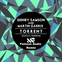 Famous Audio - Sidney Samson & Martin Garrix - Torrent (Famous Audio Remix)