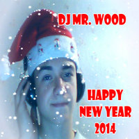 Dj Mr.Wood - New Year Party