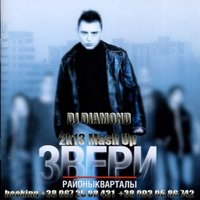 DJ Diamond - Звери & Tujamo - Районы Кварталы ( DJ Diamond 2k13 Mash Up)