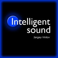 Sergey Vinilov - Intelligent sound vol.13