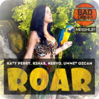 BAD GRIMM - Katy Perry, R3hab, Nervo, Ummet Ozcan - Roar (BAD GRIMM MASHUP)