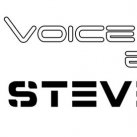 Steven Ray - Voicekraft : Essential Of The Year 2013