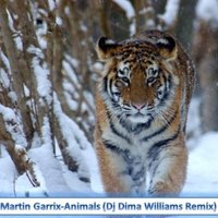Dima Williams - Martin Garrix-Animals (Dj Dima Williams Remix)