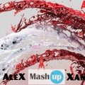 DJ AleX_Xandr - Kesha – Crazy Kids (DJ AleX Xandr Mash-Up)