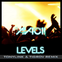 TIGROV - Avicii - Levels (TonyLink & Tigrov Remix)