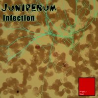 Juniperum - Infection (Original Mix)[Pretty Neat Records]