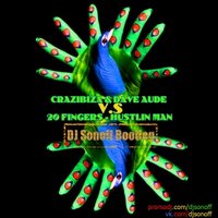 DJ Sonoff - Crazibiza & Dave Aude V.S 20Fingers – Hustlin man (DJ Sonoff bootleg)