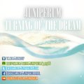 Juniperum - Turning Of The Dream (Original Mix)