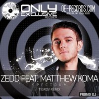 TIGROV - Zedd feat. Matthew Koma – Spectrum (Tigrov Remix)