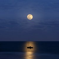 Light Dreams - Moon Light