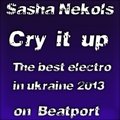 Sasha Nekols - [Preview]Sasha Nekols - Cry it up (Original Mix)