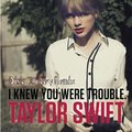 Disk Jockey - Taylor Swift – I Knew You Were Trouble(Disk Jockey Project)
