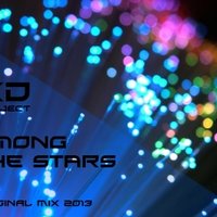 XD Project - X-Den Project - Among the stars