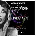 DJ MISS FTV - Otto Knows vs Tritonal & Paris Blohm ft Sterling Fox- Million Voices in Colors (dj Miss FTV bootleg)