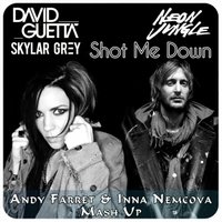 Andy Farret - David Guetta ft.Skylar Grey vs. Neon Jungle - Shot Me Down ( Andy Farret & Inna Nemcova Mash Up )