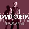 SNEBASTAR - David Guetta feat Sia - Titanium (SNEBASTAR remix)