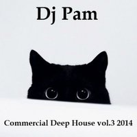 Dj Pam - Dj Pam - Commercial Deep House vol.3 2014