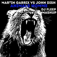 Dj Fleep - Martin Garrix Vs John Dish - Animals Homme ( Dj Fleep Mashup )