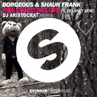 Dj Aristocrat - Borgeous & Shaun Frank feat. Delaney Jane - This Could Be Love (Dj Aristocrat RMX)