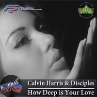 Dj Kapral - Calvin Harris & Disciples - How Deep is Your Love (Dj Kapral Remix)