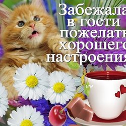Открытки с пожеланиями хорошего дня и настроения 597