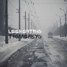 LeeberTric